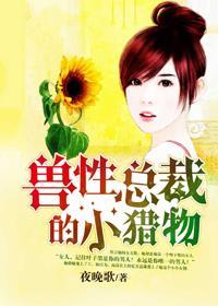 兽性总裁霸上前妻