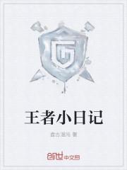 王者荣耀的日记250字