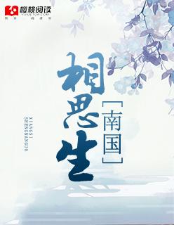 南国相思豆是什么意思