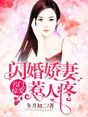 名门掠爱闪婚娇妻惹人疼全文免费阅
