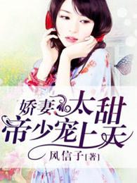 帝少宠妻有点甜免费阅读