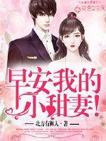 早安我的小甜妻 短剧
