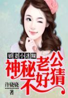 娇宠新妻神秘老公有点坏全文免费阅读