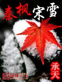 主人公叫秦枫