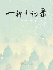 小记录是什么