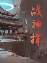 战神探探