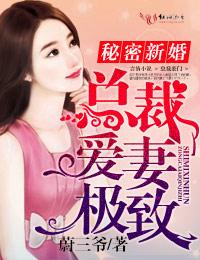 总裁的秘密新妻温暖