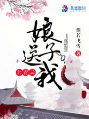 娘子送我青云志我不娘子三品