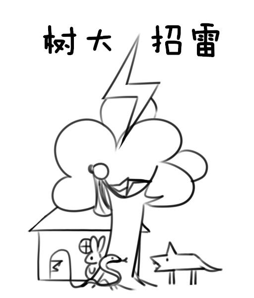 树大招风解读