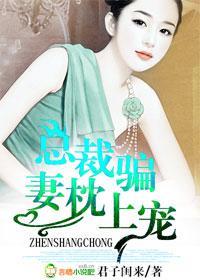 总裁骗妻枕上书