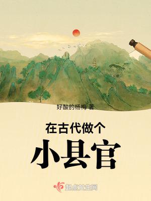 在古代做个小县官结局
