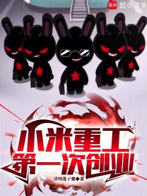 小米股份有限公司