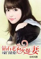 豪门钻石妻免费
