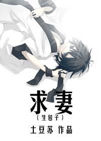 求妻不归路免费阅读