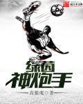 绿茵射手txt