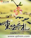 重生手记简介