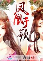 歌曲凤凰于飞什么意思