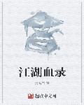 江湖血泪录外转