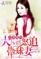 全球通缉追捕出逃少夫人免费阅读