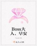 boss大人免费阅读