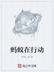 蚂蚁之行动是什么意思